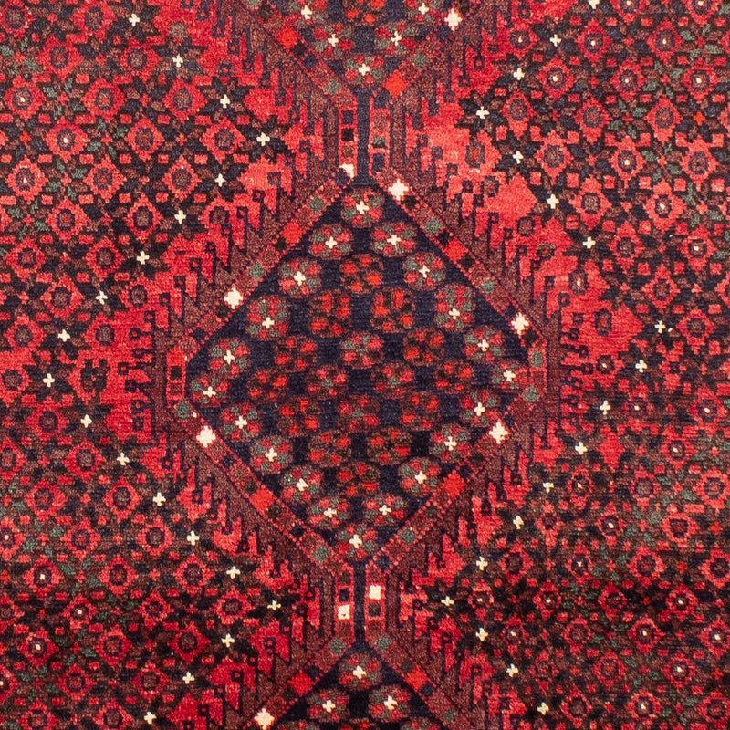 Shiraz Tapete 281x206cm - Tapete persa