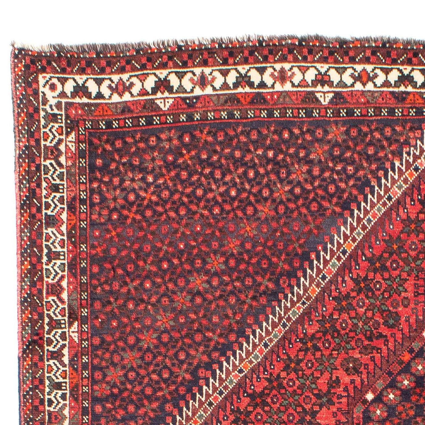 Shiraz Tapete 281x206cm - Tapete persa
