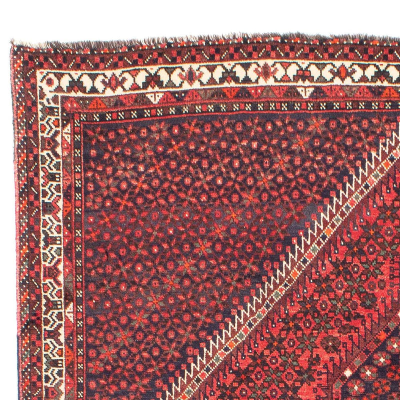 Shiraz Tapete 281x206cm - Tapete persa