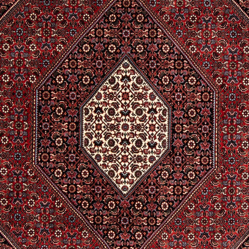 Bidjar Tapete 241x170cm - Tapete persa
