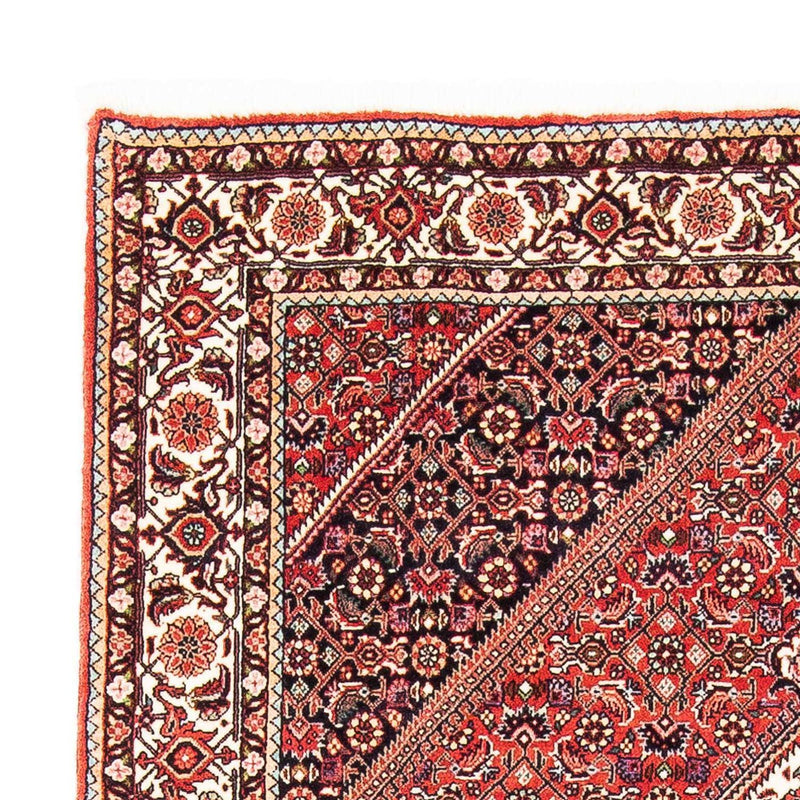 Bidjar Tapete 170x110cm - Tapete persa