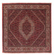 Bidjar Tapete 152x148cm - Tapete persa