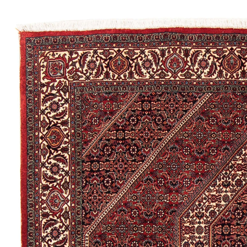 Bidjar Tapete 152x148cm - Tapete persa