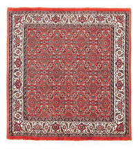 Bidjar Tapete 98x97cm - Tapete persa – product image