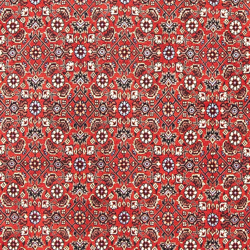 Bidjar Tapete 98x97cm - Tapete persa