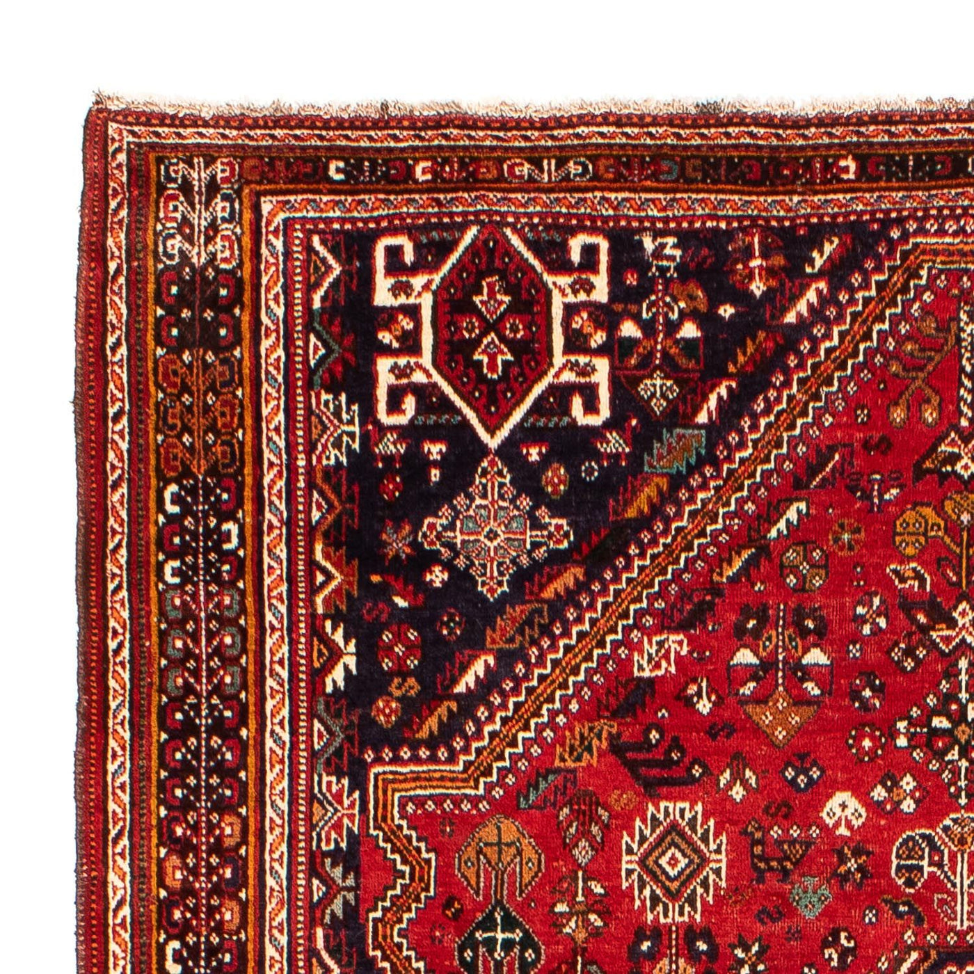 Tapete Persa - Nomadic - 298 x 189 cm - vermelho escuro
