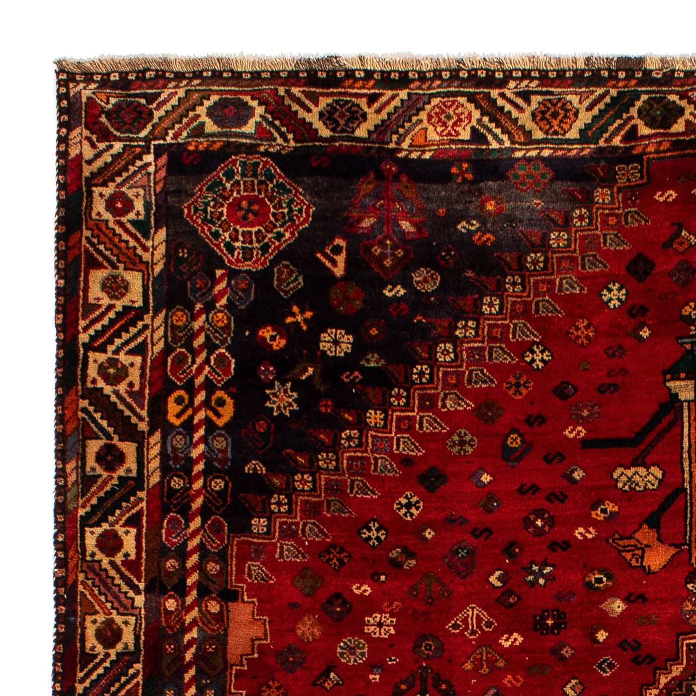 Shiraz Tapete 296x203cm - Tapete persa