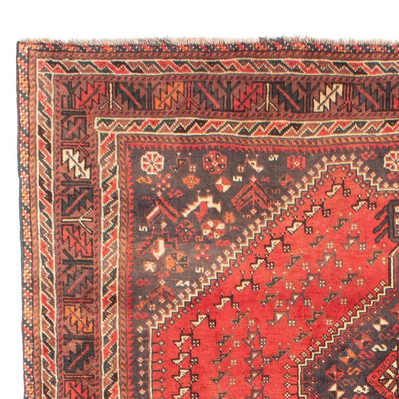 Shiraz Tapete 279x203cm - Tapete persa