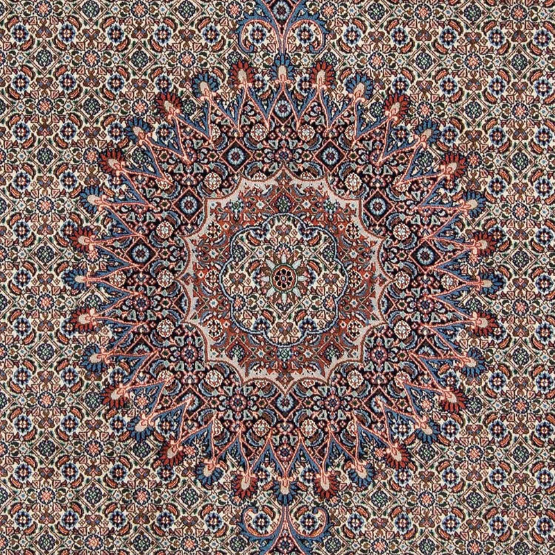 Moud Tapete 285x195cm - Tapete persa