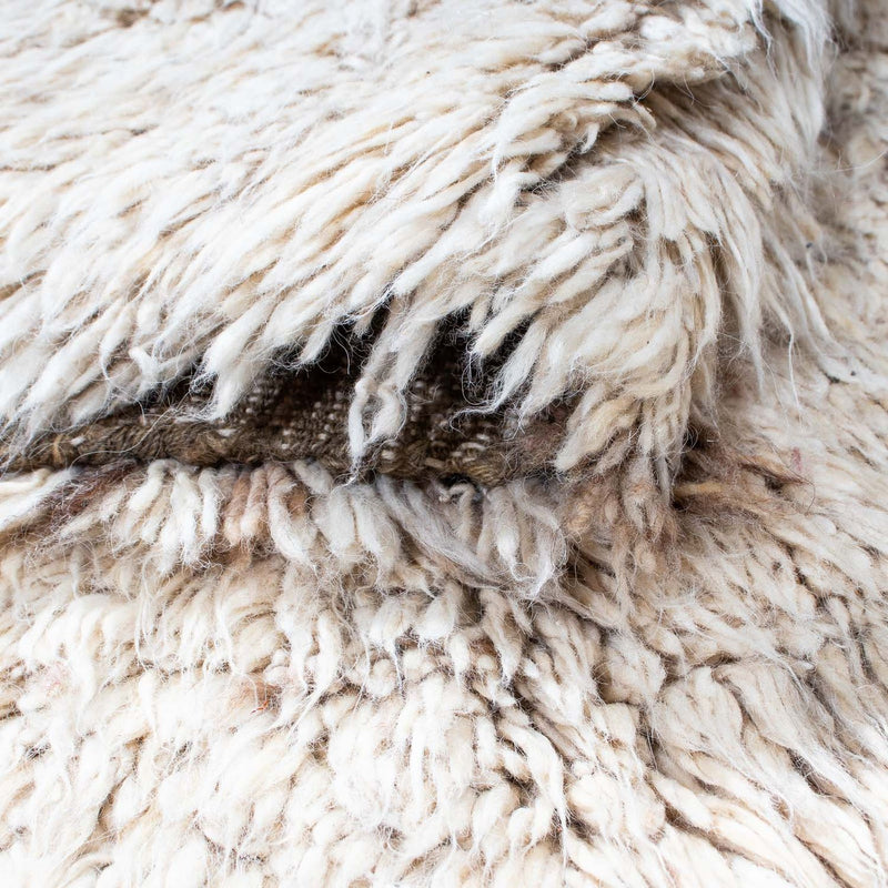 Shaggy Tapete 172x243cm - Shaggy Teppich