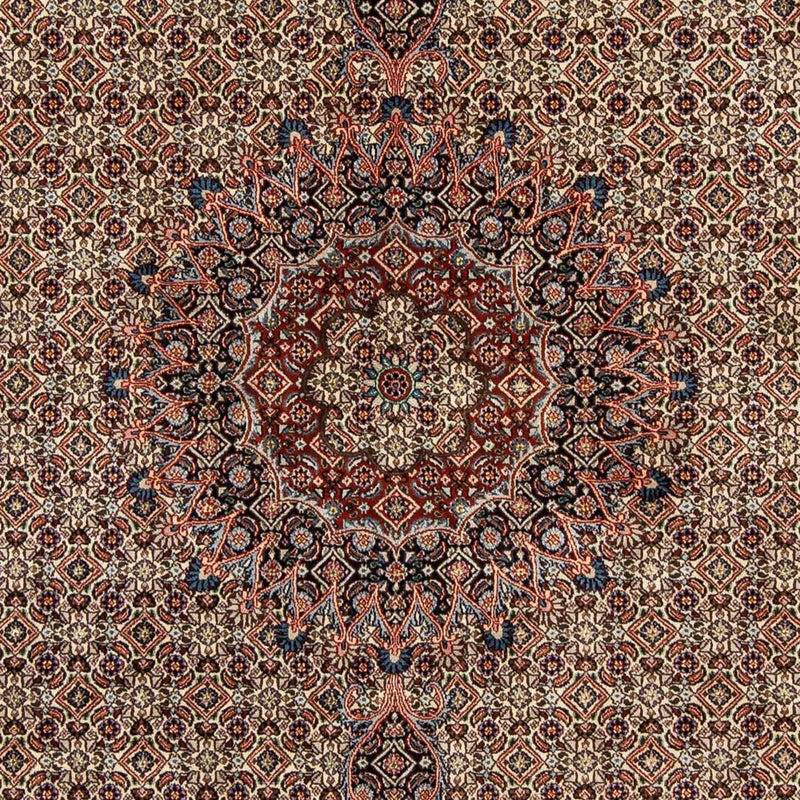 Moud Tapete 294x204cm - Tapete persa