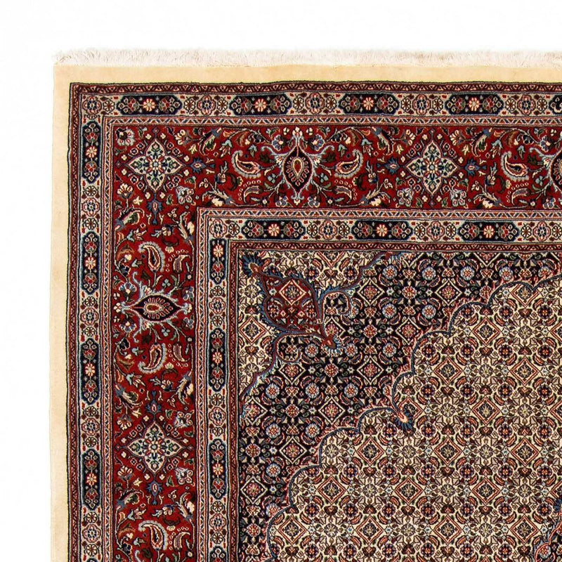 Moud Tapete 294x204cm - Tapete persa