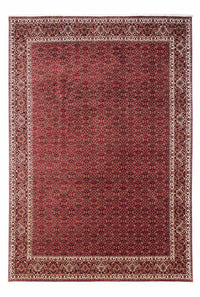 Bidjar - Takab Tapete 345x253cm - Tapete persa – product image