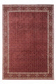 Bidjar - Takab Tapete 345x253cm - Tapete persa