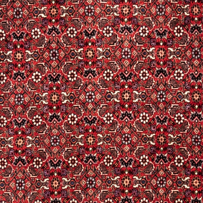 Bidjar - Takab Tapete 345x253cm - Tapete persa