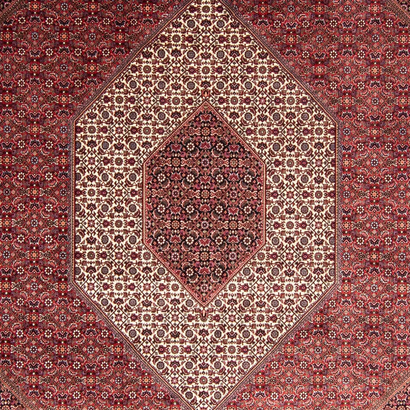 Bidjar Tapete 254x344cm - Tapete persa