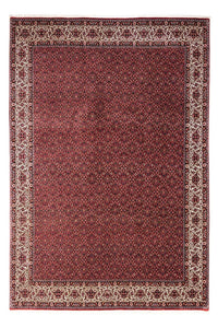 Bidjar - Takab Tapete 343x251cm - Tapete persa – product image