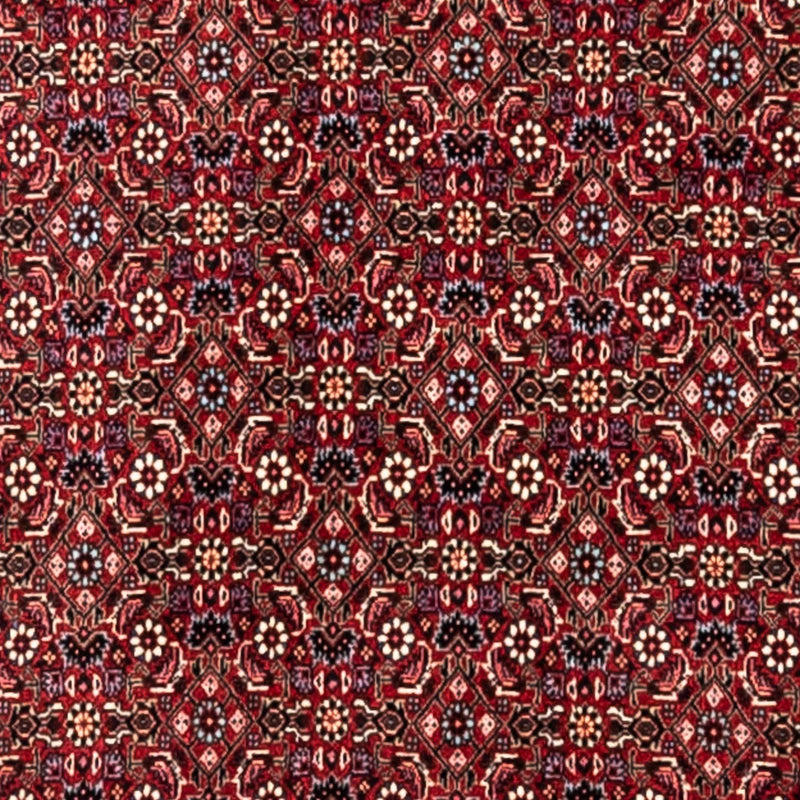 Bidjar - Takab Tapete 343x251cm - Tapete persa