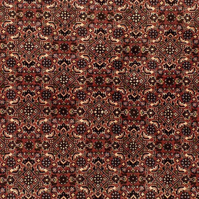 Bidjar Tapete 136x214cm - Tapete persa