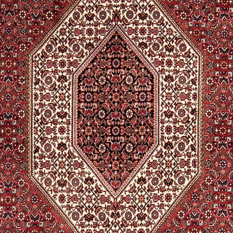 Bidjar Tapete 300x252cm - Tapete persa