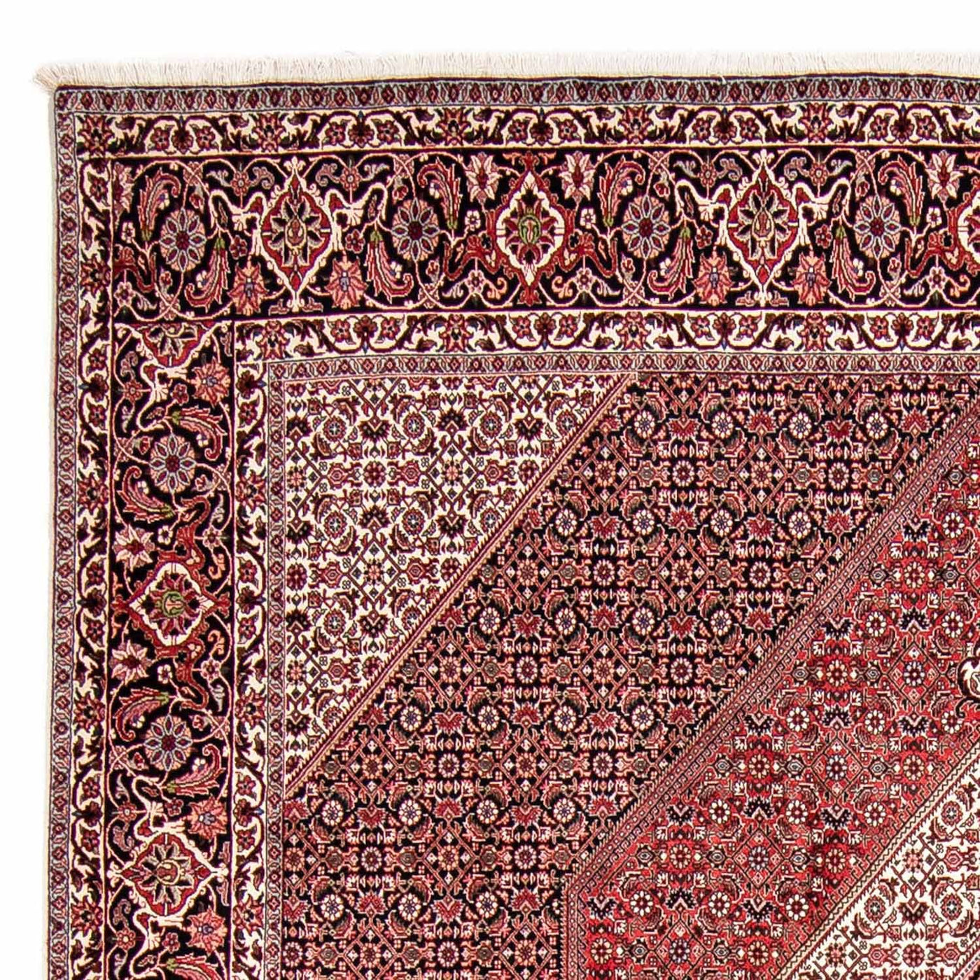 Bidjar Tapete 300x252cm - Tapete persa