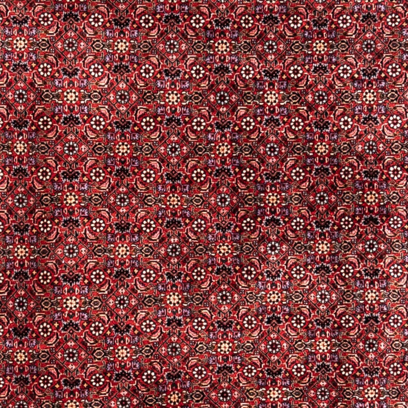 Bidjar - Takab Tapete 338x250cm - Tapete persa