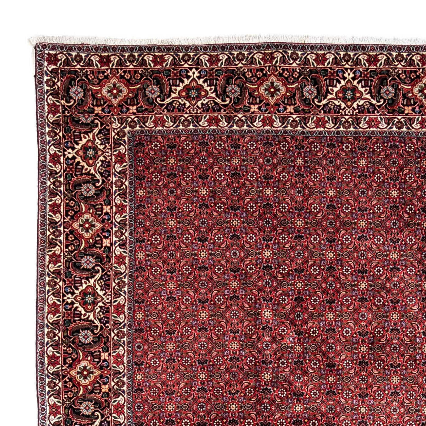 Bidjar - Takab Tapete 338x250cm - Tapete persa