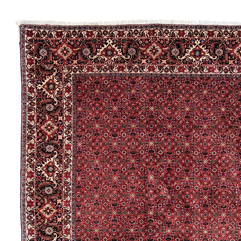 Bidjar - Takab Tapete 338x250cm - Tapete persa