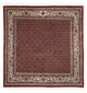 Moud Tapete 196x197cm - Tapete persa