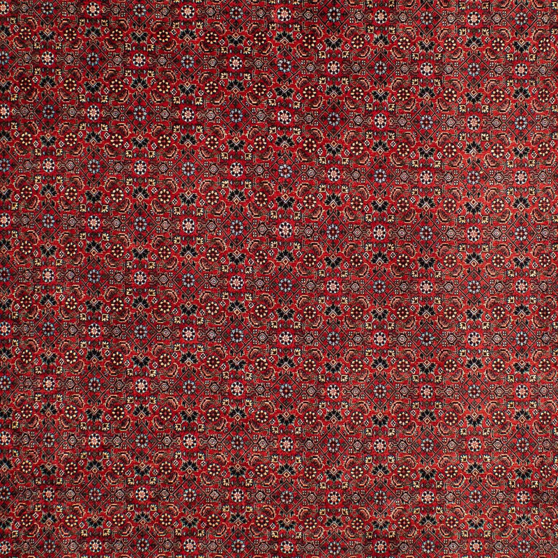 Bidjar Tapete 295x203cm - Tapete persa