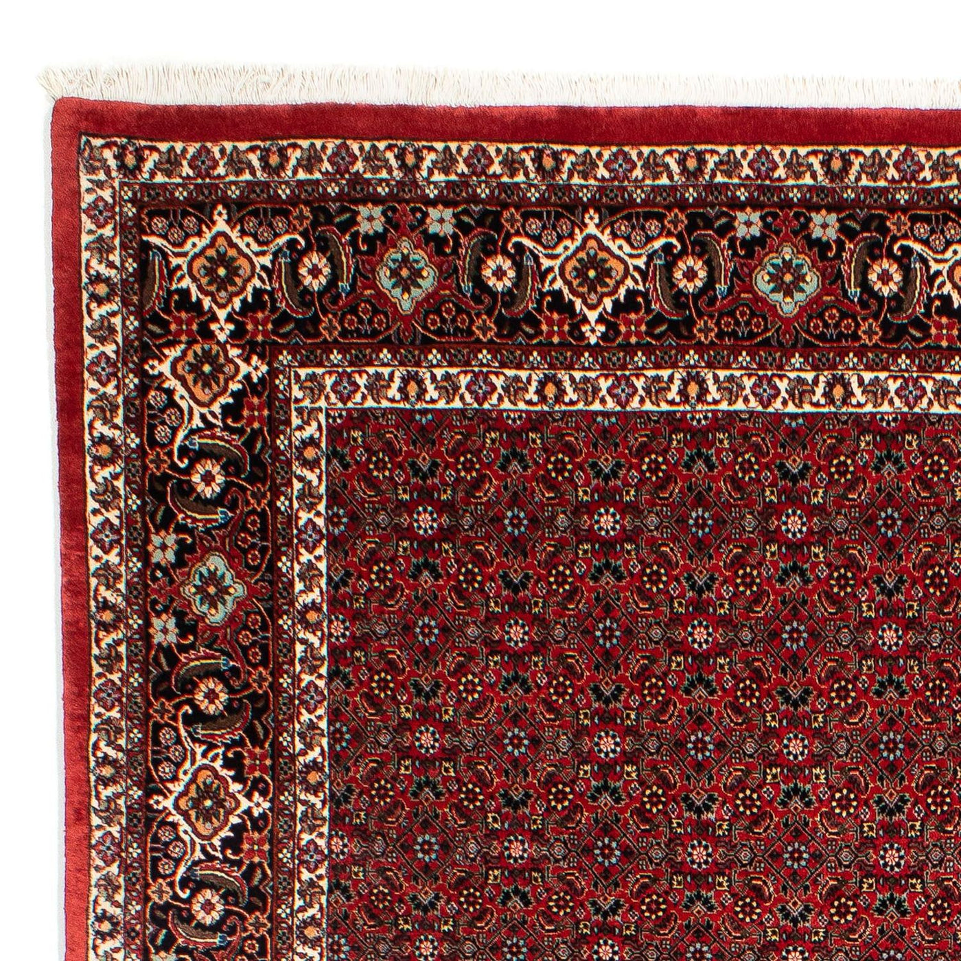 Bidjar Tapete 295x203cm - Tapete persa