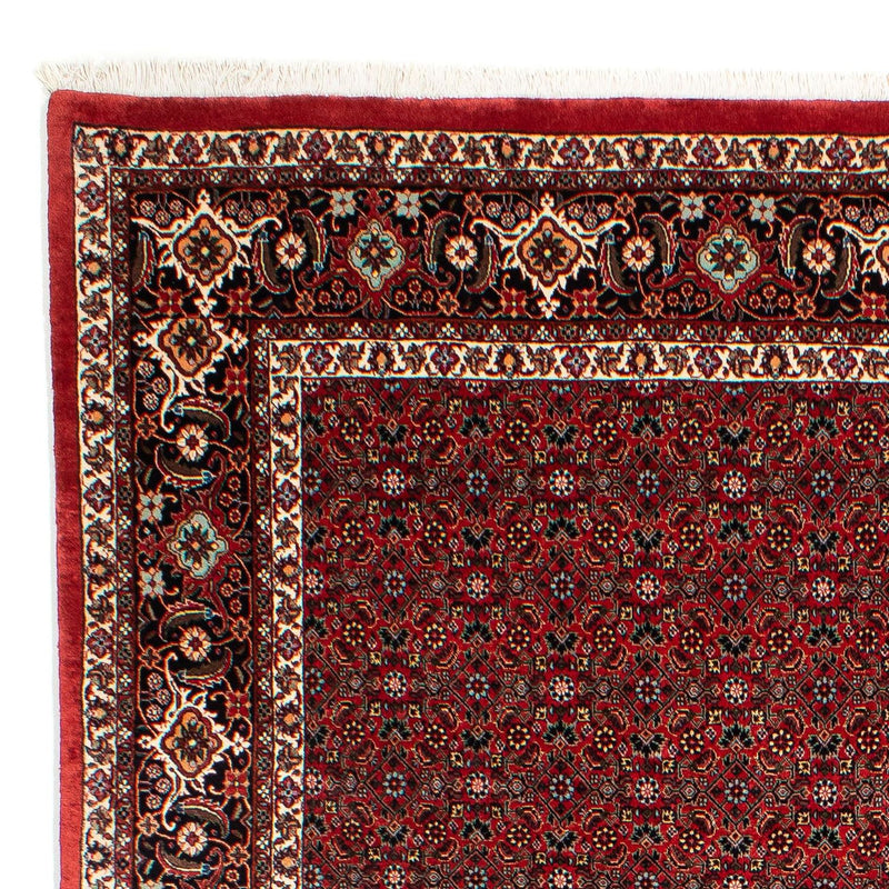 Bidjar Tapete 295x203cm - Tapete persa