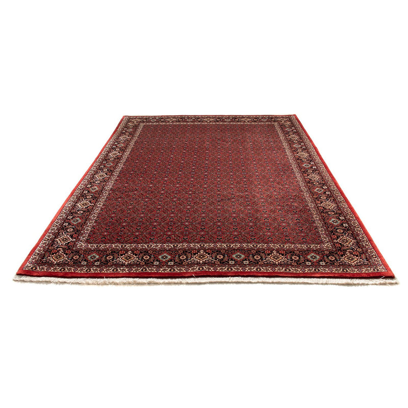 Bidjar Tapete 295x203cm - Tapete persa