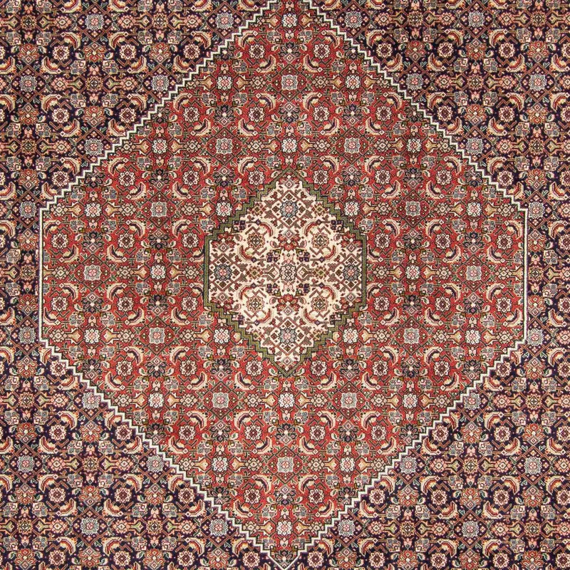 Tapete Persa - Tabriz - 343 x 246 cm - multicolorido