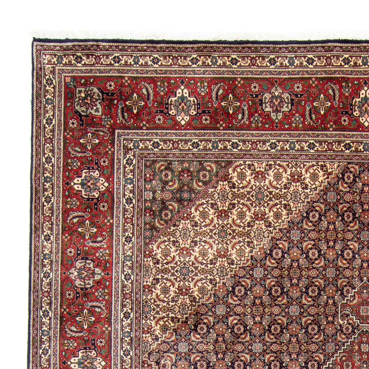 Tabriz Tapete 247x343cm - Tapete persa