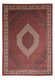 Bidjar Tapete 248x354cm - Tapete persa