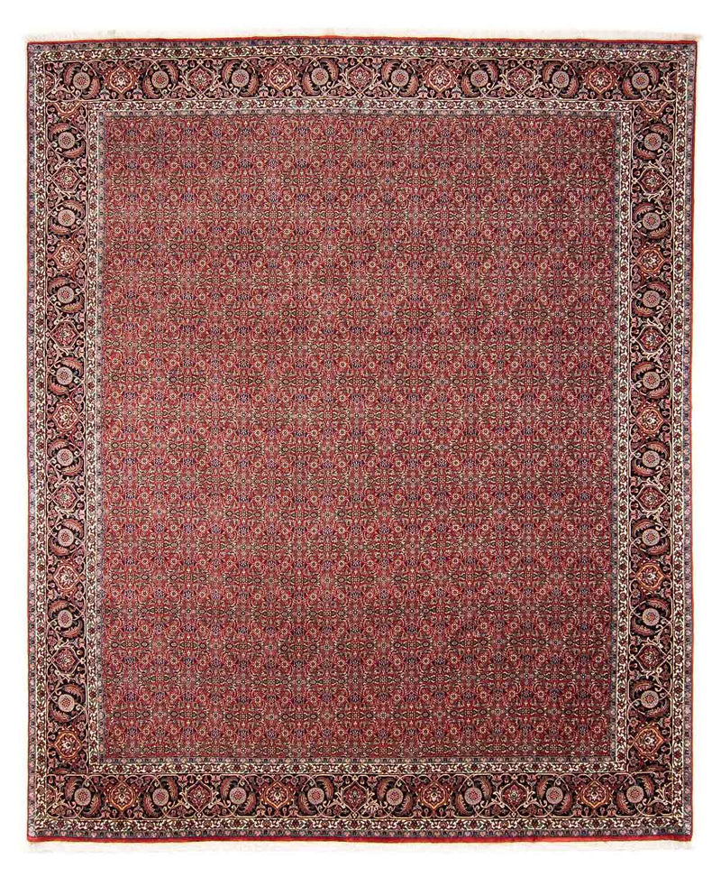 Bidjar Tapete 300x252cm - Tapete persa