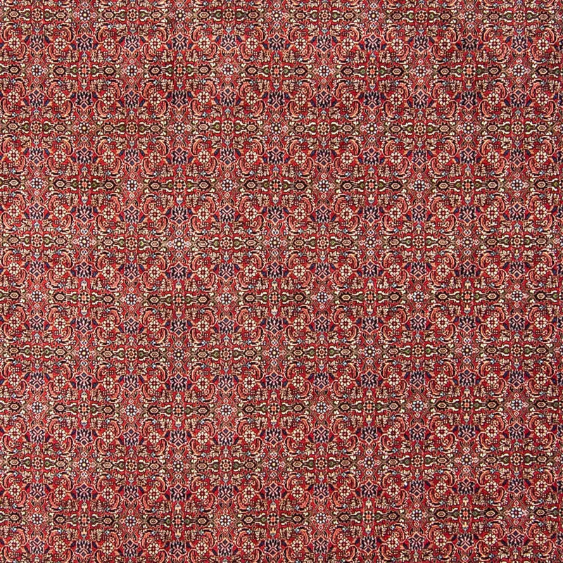 Bidjar Tapete 300x252cm - Tapete persa