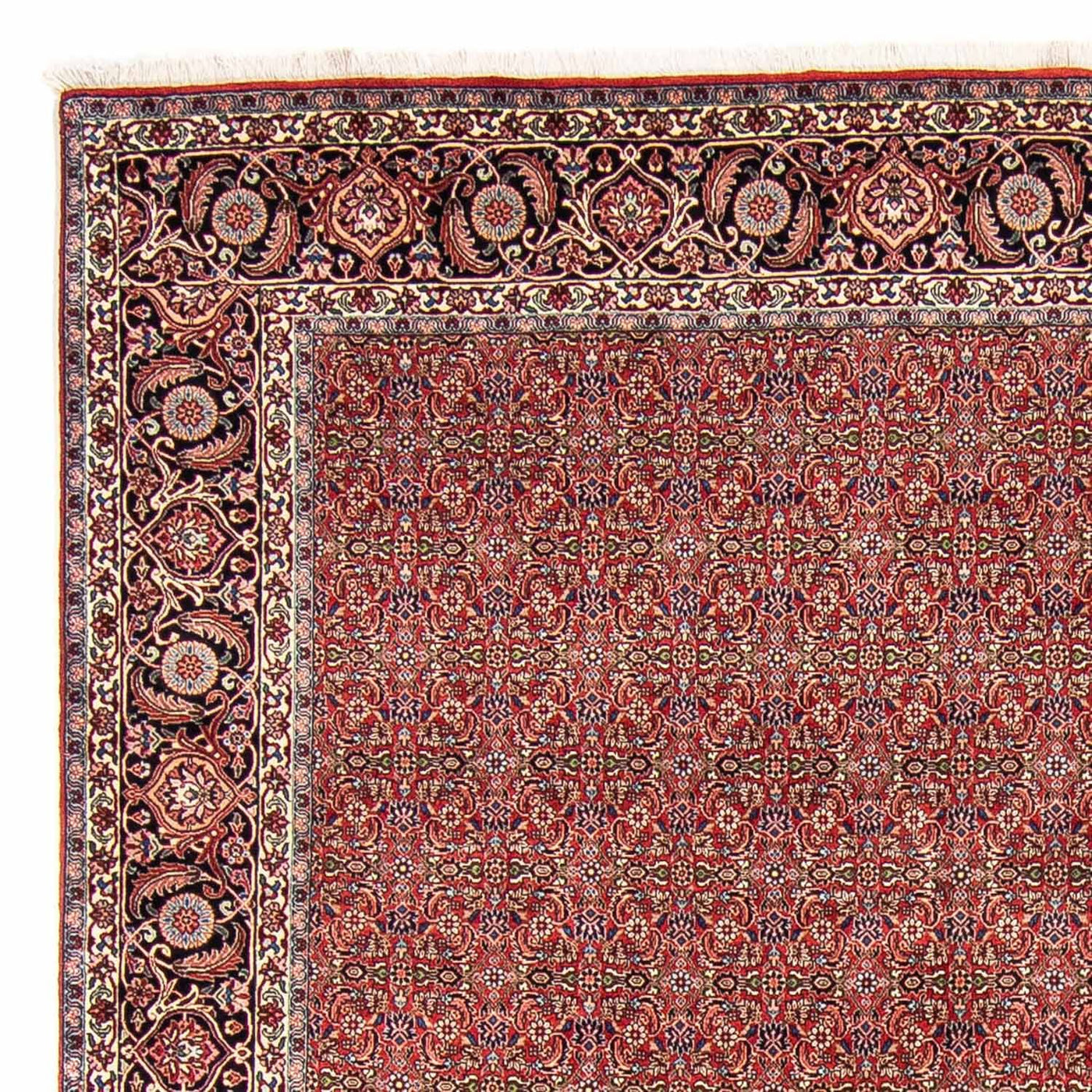 Bidjar Tapete 300x252cm - Tapete persa