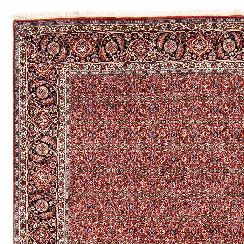 Bidjar Tapete 300x252cm - Tapete persa