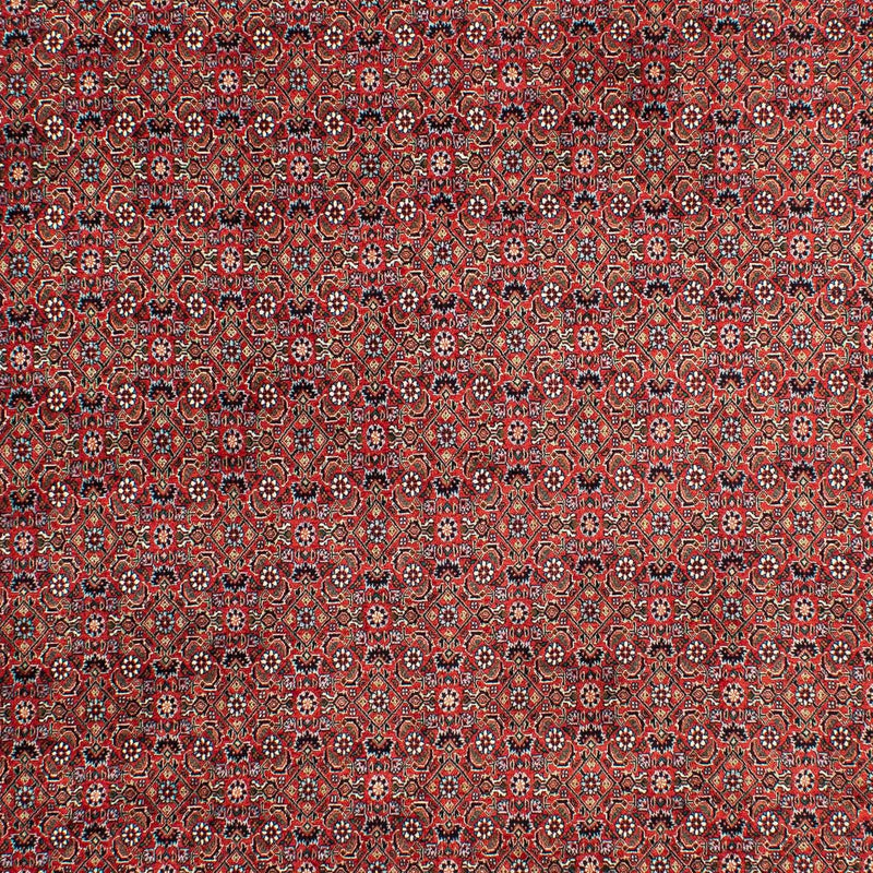 Bidjar Tapete 203x299cm - Tapete persa