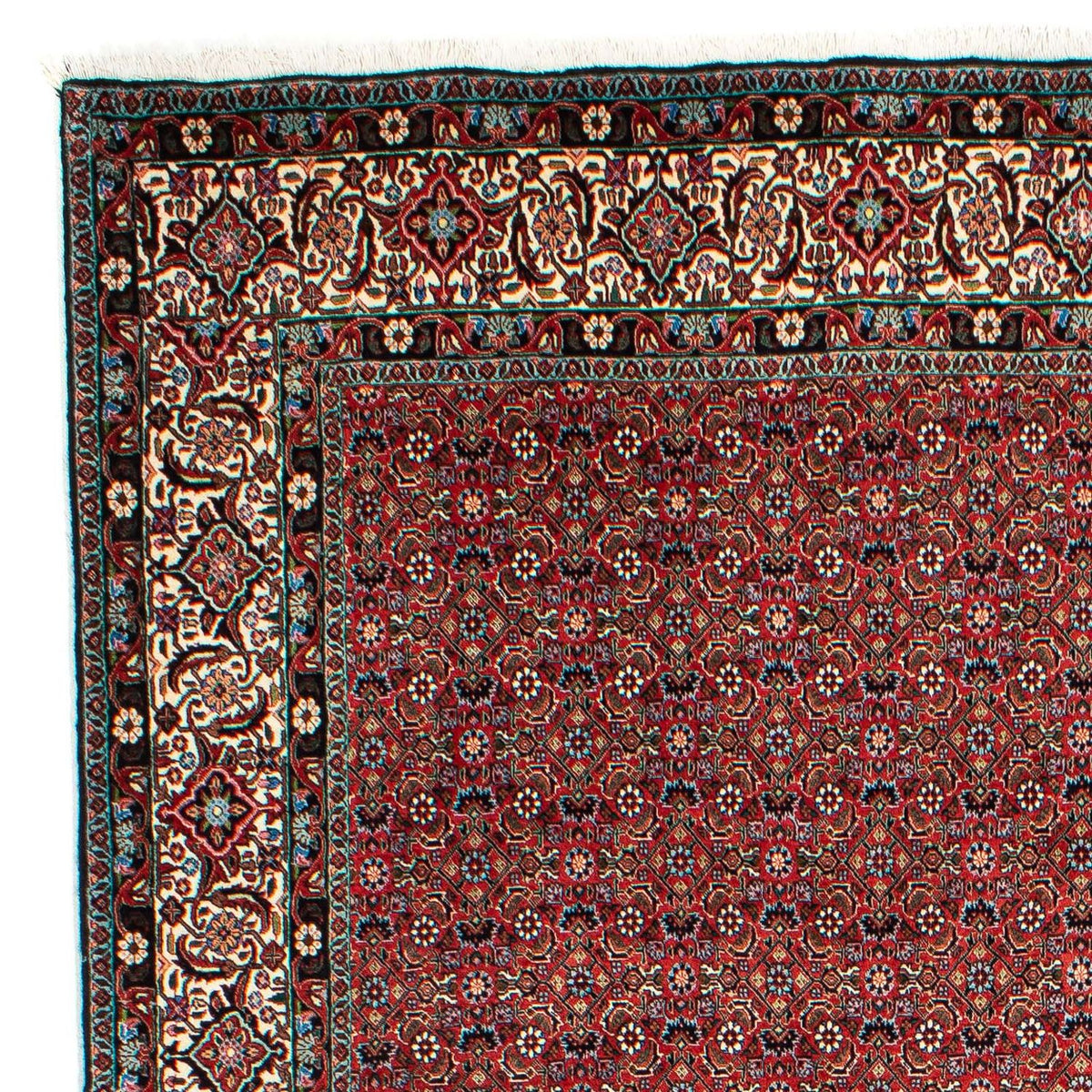 Bidjar Tapete 203x299cm - Tapete persa