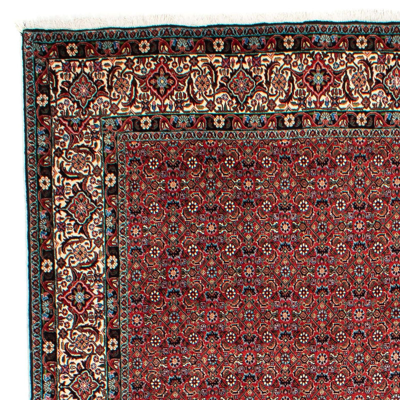 Bidjar Tapete 203x299cm - Tapete persa