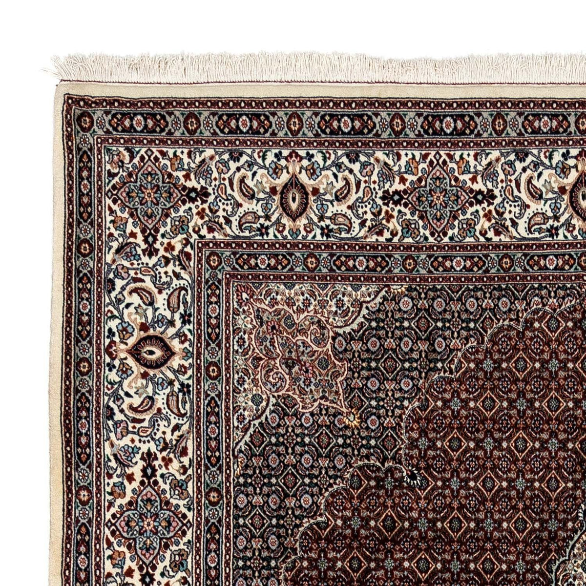 Moud Tapete 245x344cm - Tapete persa