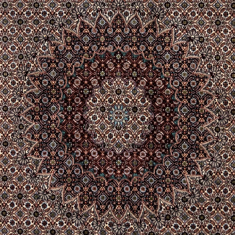 Moud Tapete 345x243cm - Tapete persa