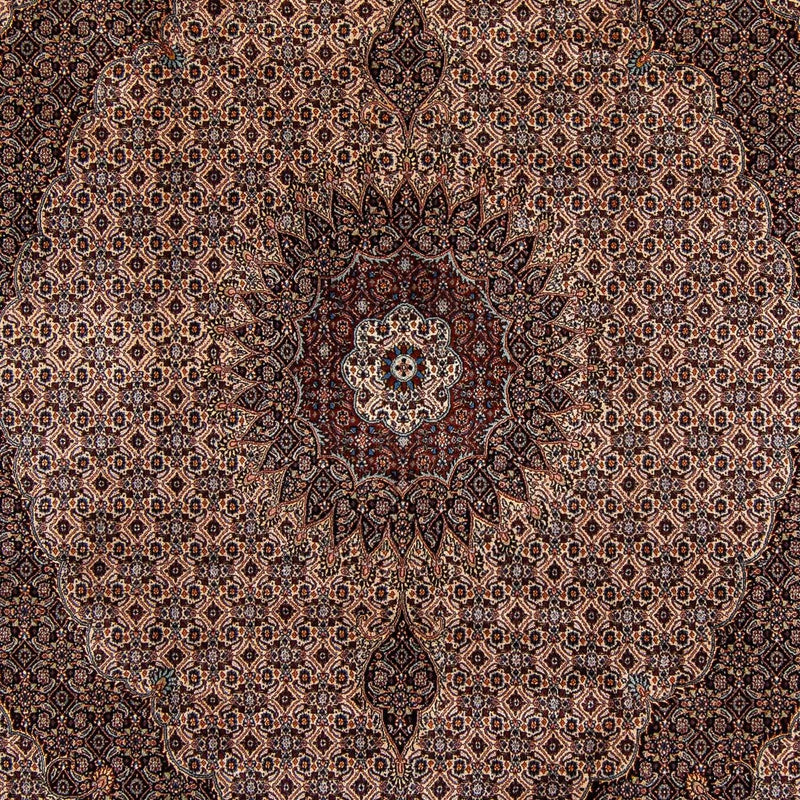 Moud Tapete 305x251cm - Tapete persa
