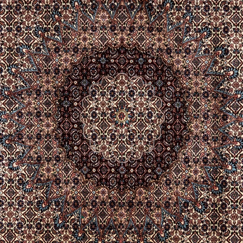 Moud Tapete 247x348cm - Tapete persa