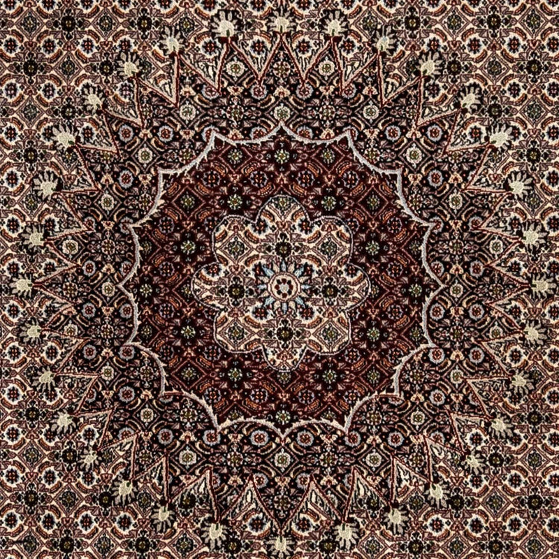 Moud Tapete 328x245cm - Tapete persa