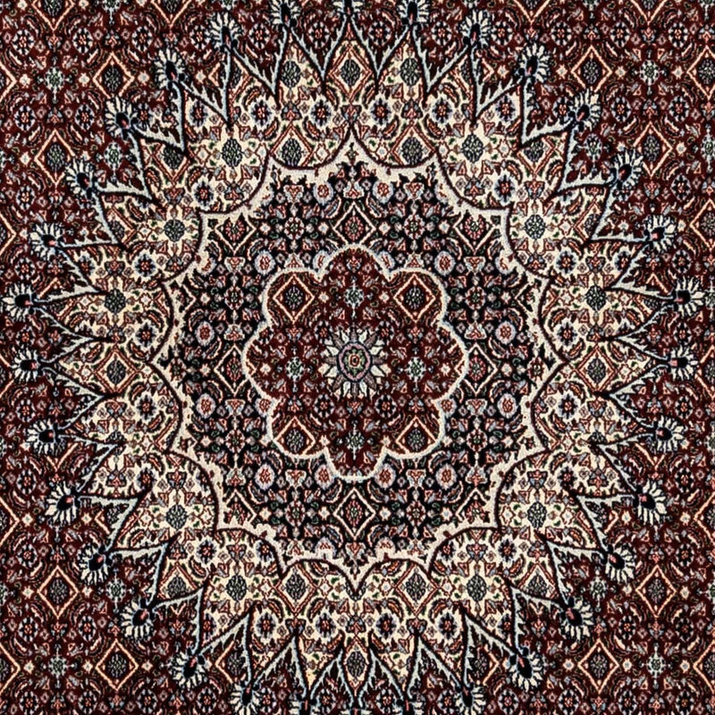 Moud Tapete 246x349cm - Tapete persa