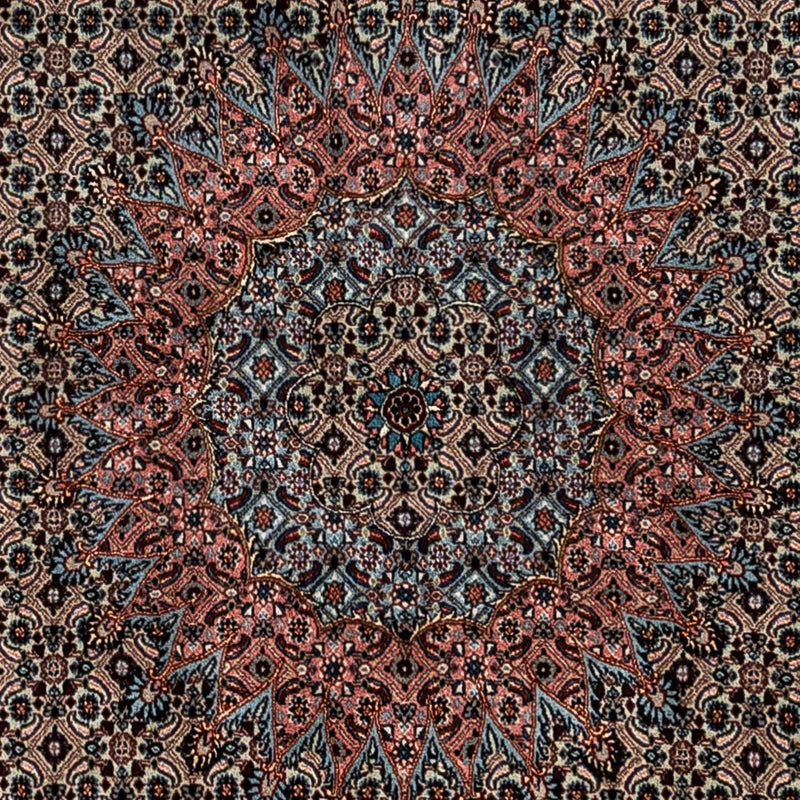Moud Tapete 347x252cm - Tapete persa